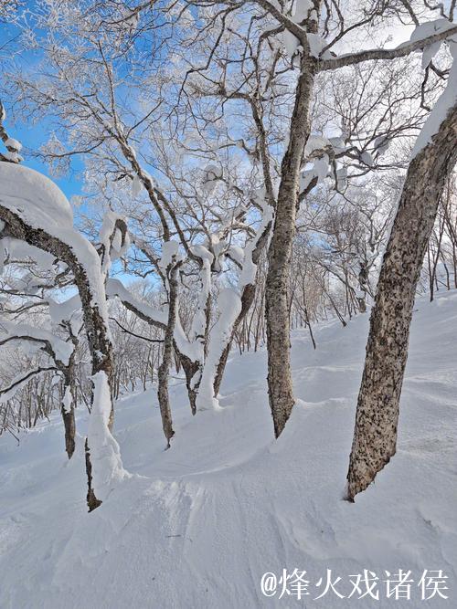 滑雪发烧友感叹刷卡如滑雪，钱包空了笑容还在