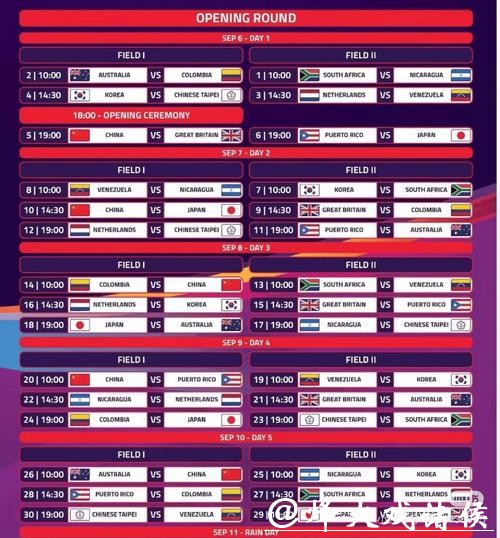 世界杯买球平台：顶尖赛事尽在掌中体验